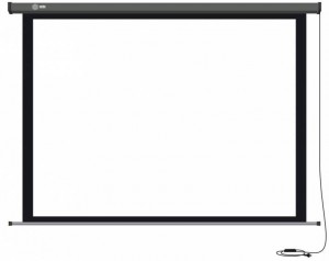 Рулонный экран для проектора Cactus  Professional Motoscreen CS-PSPM-149x265