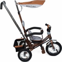 Велосипед для малыша Mars Mini Trike LT-950A 10-8 Brown