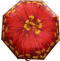 Зонт Bellissima Пестрые 497 C
