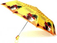 Зонт Frei Regen 10315