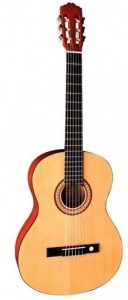 Акустическая гитара Tenson F500171