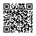 Картридж для принтера HP 72 C9374A Grey