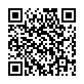 Картридж для принтера HP 72 C9380A Gray and Photo Black
