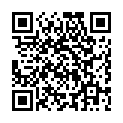 Картридж для принтера Canon C-EXV17 0262B002AA Black
