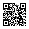 Литой диск Replay CHR-4 7x16/5x114.3 D60.1 ET33 S