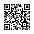 Настенные часы 21 Век 2525-01