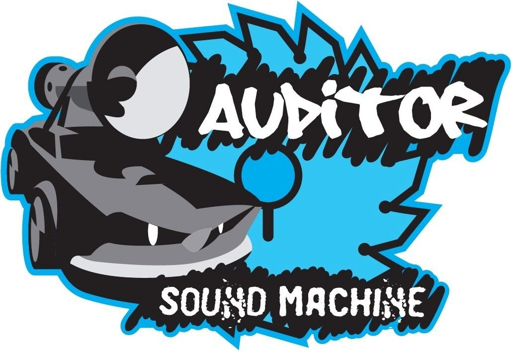 Auditor