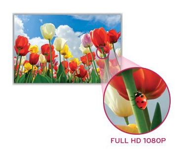 lg-monitor-e42-feature-img-detail_full_hd