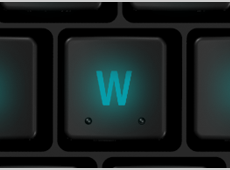 wasd