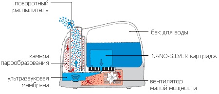 boneco_AOS_scheme_7136