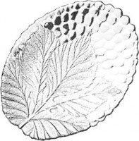 Блюдо Pasabahce Sultana 10292 SL