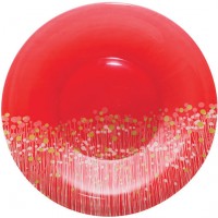 Тарелка обеденная Luminarc H2484 Flowerfield Red