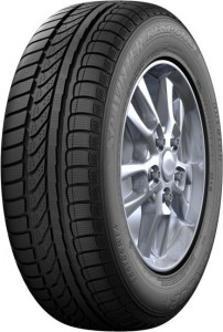 Зимняя шина Dunlop SP Winter Response 185/60 R15 88T