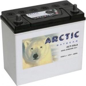 Аккумулятор для легкового автомобиля Tyumen Battery Batbear 55Ач Arctic 65B24R пр