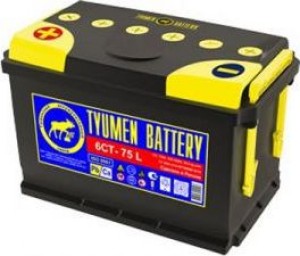 Аккумулятор для легкового автомобиля Tyumen Battery 6 ст-75 Пр