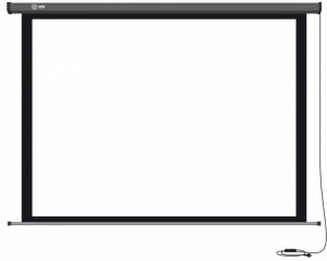 Рулонный экран для проектора Cactus  Professional Motoscreen CS-PSPM-168x299