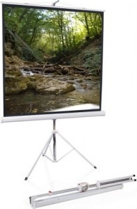 Рулонный экран для проектора ScreenMedia Apollo 244x244 SAM-1106 Matte White