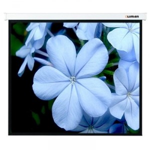 Рулонный экран для проектора Lumien Master Control (LMC-100125) 220x220 см MW