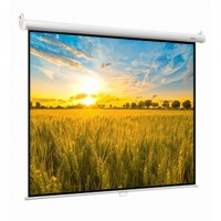 Рулонный экран для проектора Digis Optimal-B DSOB-4305 MW 240x180 (4:3)