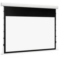 Рулонный экран для проектора Euroscreen  Diplomat Electric Video (4:3) 300*235cm (VA290*217.5) GreyLight case white