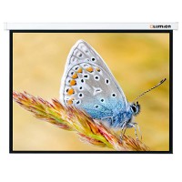 Рулонный экран для проектора Lumien Master Control (LMC-100109) 183x244 см MW