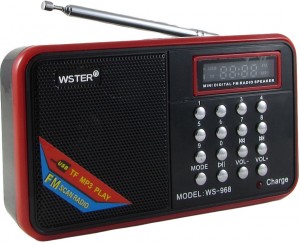 Портативная моно акустика Wster WS-968 Black