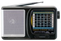 Переносной радиоприемник Ritmix RPR-2980