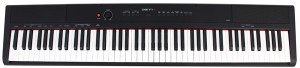 Цифровое пианино Denn Pro PW01 Black