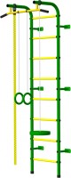 Детский спортивный комплекс ПКФ ТМКН Пионер С1Н Зеленый желтый