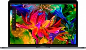 Ноутбук Apple MacBook Pro (Intel Core i5 6267U 2.9Ghz/13.3/8Gb/512Gb/macOS Sierra/Silver) MNQG2RU/A