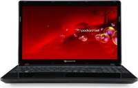 Ноутбук Packard Bell EasyNote TV11-HC-33126G75Mnks (Core i3/3120M/2500Mhz/6144Mb/15.6/750Gb/GT710M/1Gb/DVDRW/WiFi/W8)