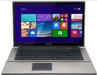 Ноутбук iRu C1703 (Core i3/3120M/2.5GHz/4Gb/500Gb/17.3/DVDRW/W8.1/Black)