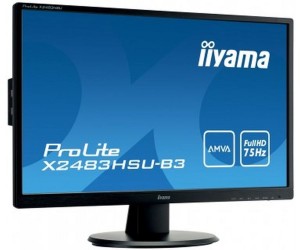 Монитор Iiyama ProLite B2483HS-B3