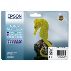 Картридж для принтера Epson T048740BA