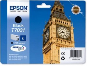 Картридж для принтера и МФУ Epson C13T70314010 Black