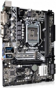 Материнская плата ASRock B250M-HDV