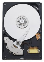 HDD Western Digital WD1600AVVS