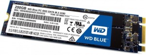 SSD Western Digital WDS250G1B0B