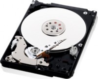 Жесткий диск Western Digital WD5000BPKX