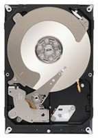 HDD Seagate ST3000NC002