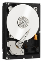 HDD Western Digital WD3000FYYZ