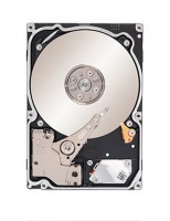 HDD Seagate 1Tb ST91000640NS Black