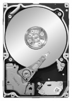 HDD Seagate ST91000640SS