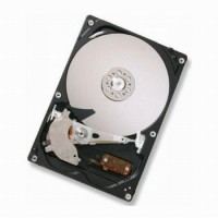 HDD IBM 81Y9730-SS 81Y9848