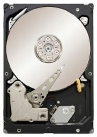 HDD Seagate ST33000650SS