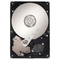 HDD Seagate ST1000VN000