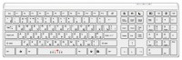 Клавиатура Oklick 560 S Multimedia Keyboard USB White