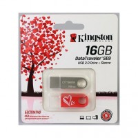 Флешка USB 2.0 Kingston DTSE9 Love Series 16 Gb