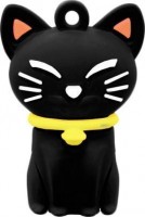 Флешка USB 2.0 Kingmax UI-07 16Gb Cat Black