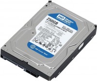 HDD Western Digital   SATA III 250GB